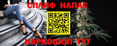 шишки Бузулук