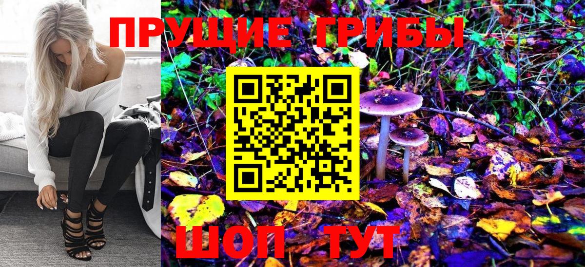 Свободный  Галлюциногенные грибы Psilocybine cubensis  Вход с VPN 